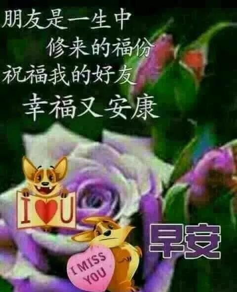 走在路上,要么独自闯荡,要么紧随人后,早安