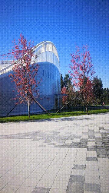 廊坊三叶公园附近,廊坊三叶公园室内游乐场门票