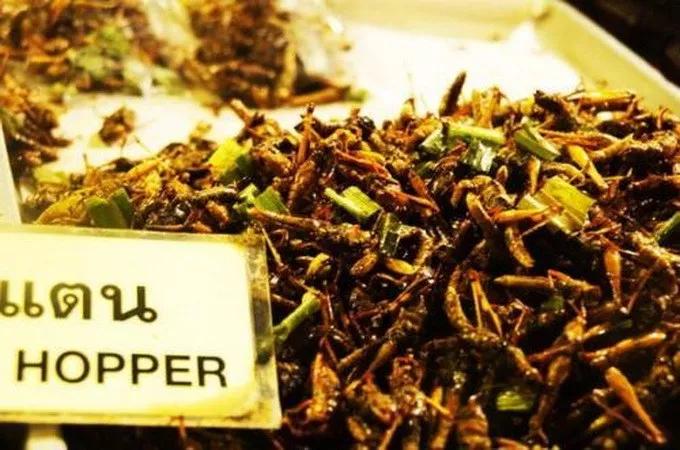 全泰国曼谷火车头夜市攻略,曼谷拉差达火车夜市全景