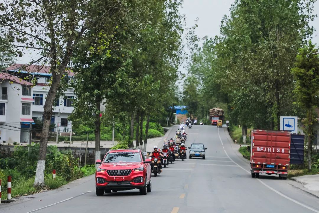 国民公路g318电影,国民公路g318图片