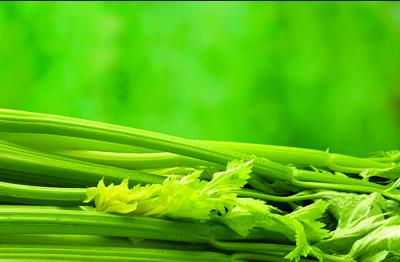 血小板增多症饮食禁忌,血小板增多症需要每年做骨穿吗