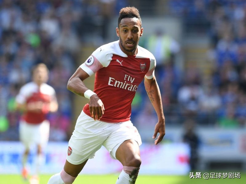 孩子遗传父亲哪些dna,那些遗传了父母颜值的星二代