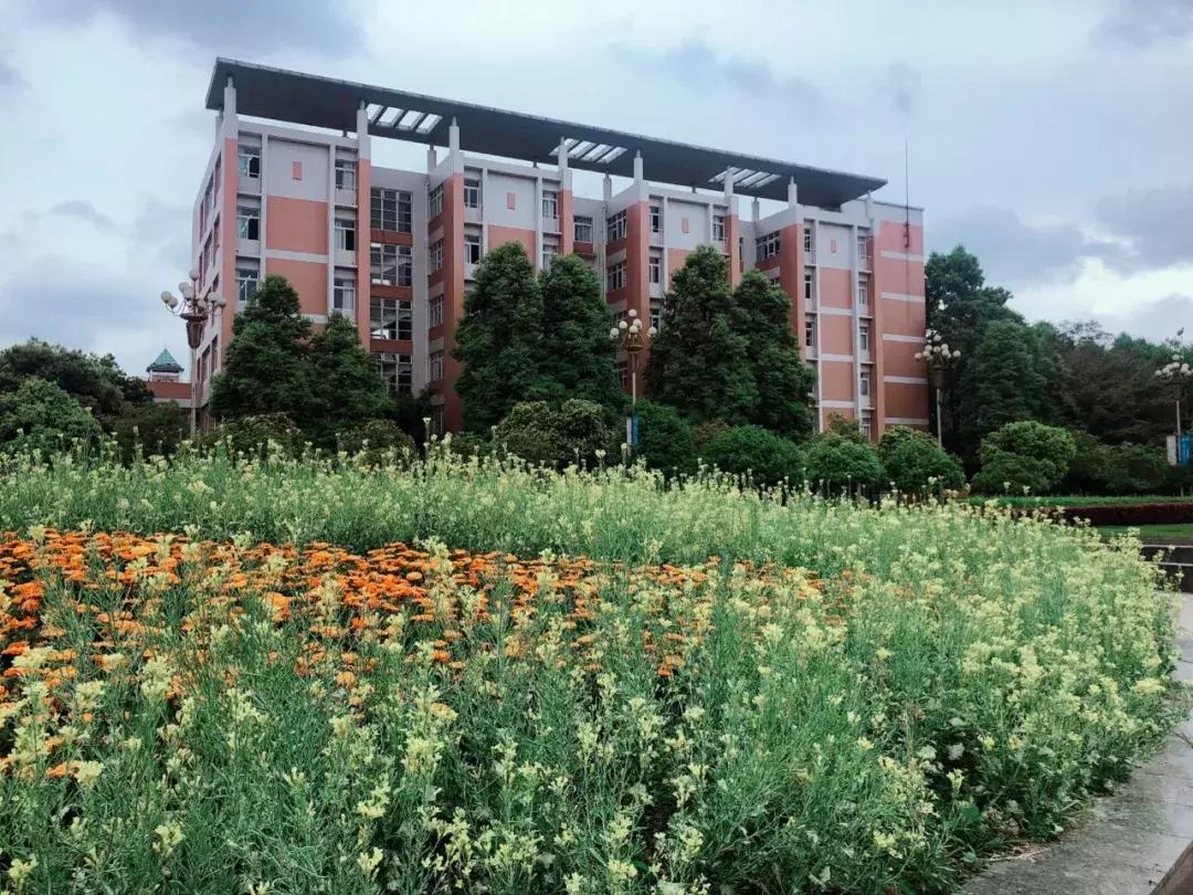 鍙屾祦鍛ㄨ竟缇庨鍏洯,鎴愰兘鍙屾祦缇庨鍏洯