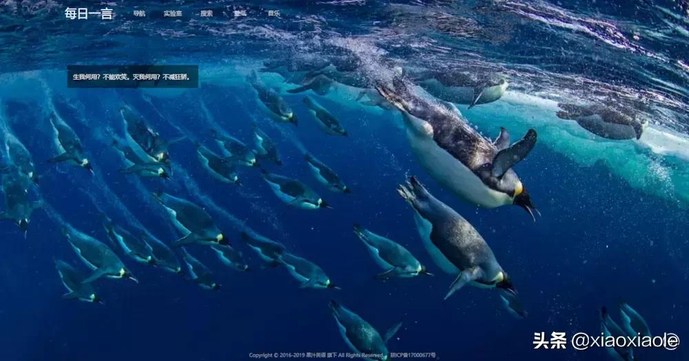 可以查找各种资源的网站,游戏资源网站推荐