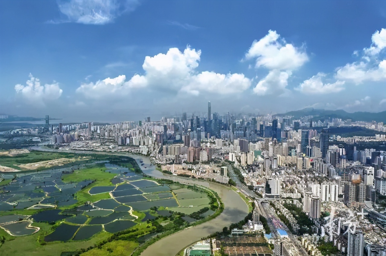 奋进粤港澳大湾区,奋进新征程筑梦大湾区