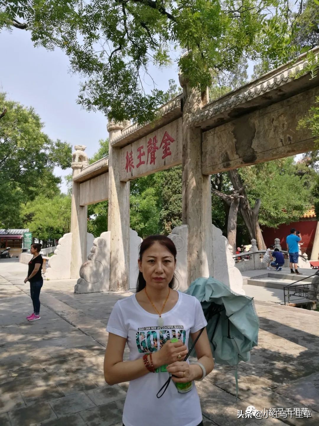 曲阜孔府孔庙孔林历史背景,曲阜孔府孔庙孔林一游