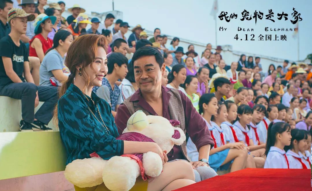 和俞飞鸿在雪国谈恋爱，还是上郑恺的恋爱培训班？|周末看啥片儿