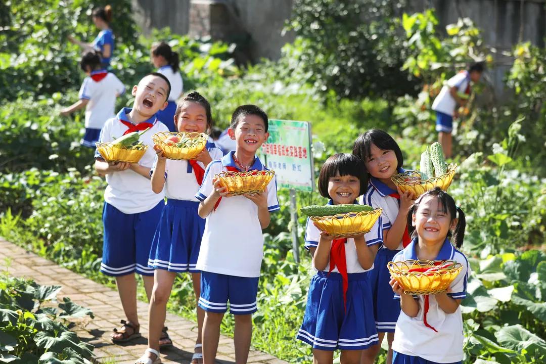 花儿朵朵向阳开幼儿园,幼师花儿朵朵向阳开舞蹈完整版