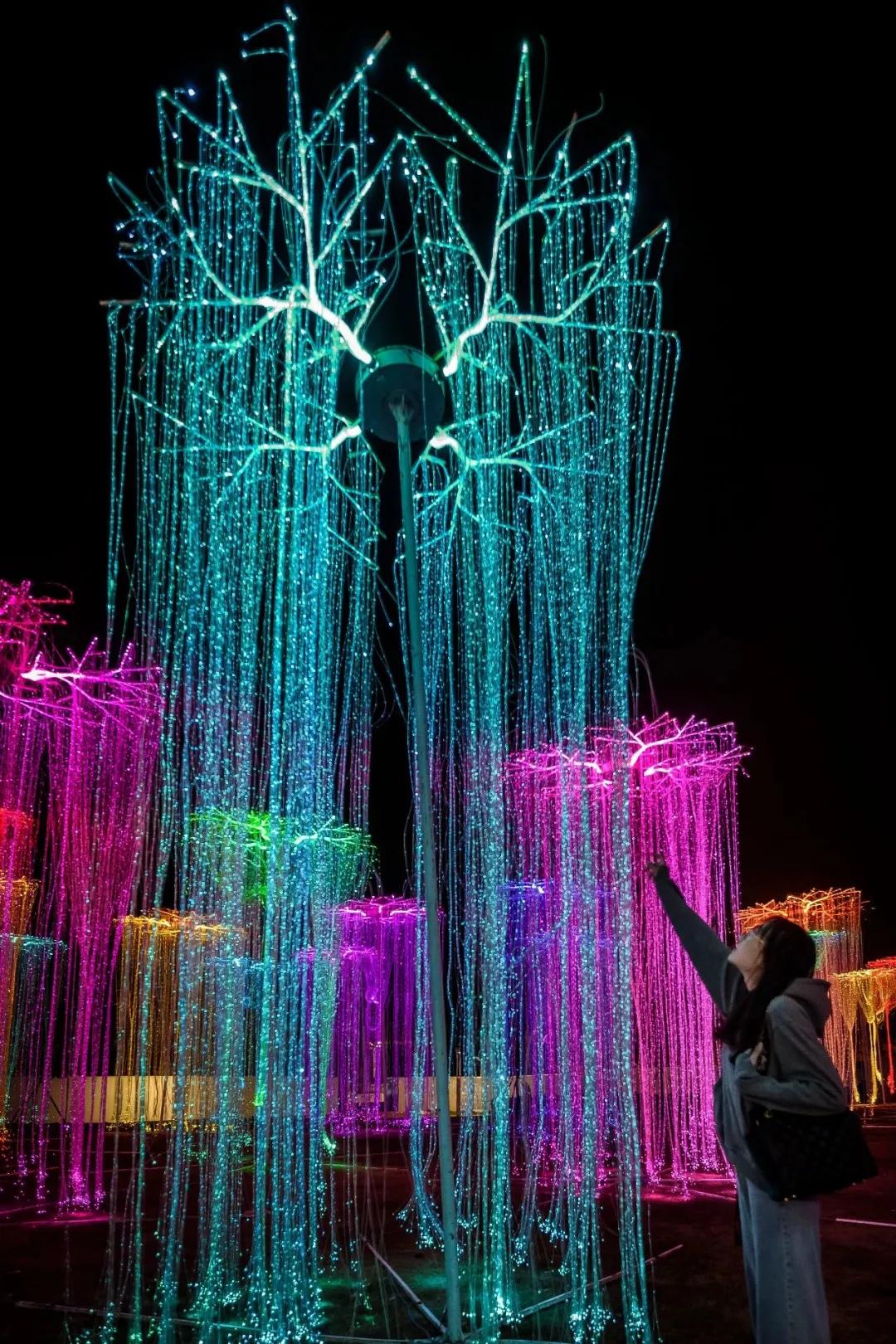 熊猫来永庆坊,鹰潭大熊猫