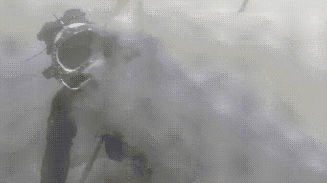 蛤、蚶、蛏、蚝、蚬有什么区别？这是一群美味海怪与人类的故事