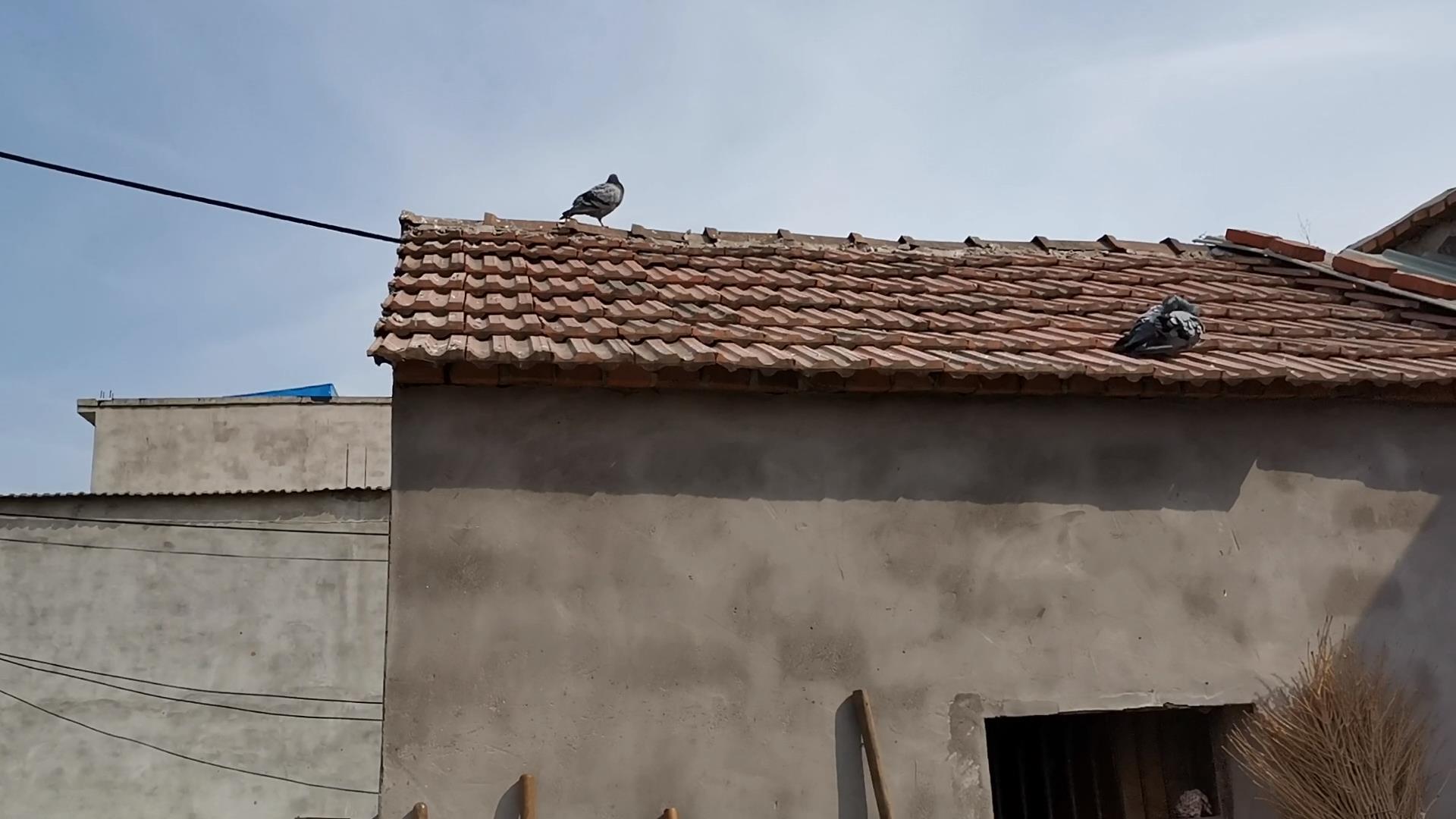 房屋确权后又盖房了怎么办,农村房屋确权以后买房算二套房吗