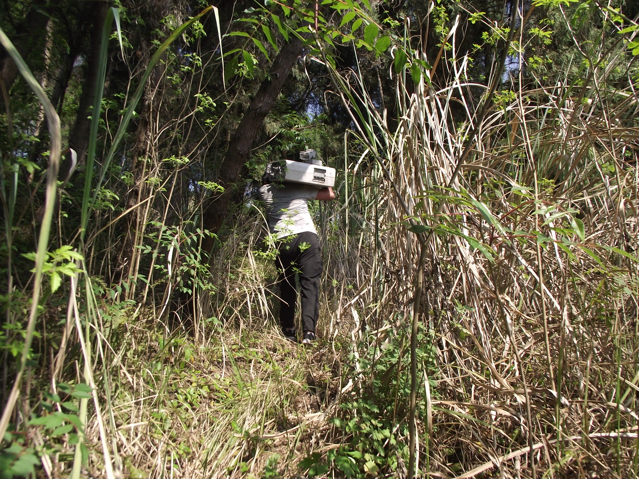 基站维护员学徒,辛苦的后勤维修工
