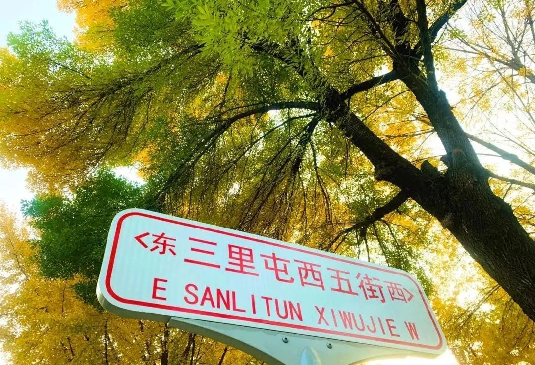 缃戝弸鍒嗕韩鍖椾含璧忚姳鎸囧崡,鍖椾含璧忚姳鎸囧崡