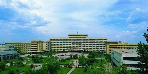 哈尔滨市内环境,哈尔滨一年四季的现状