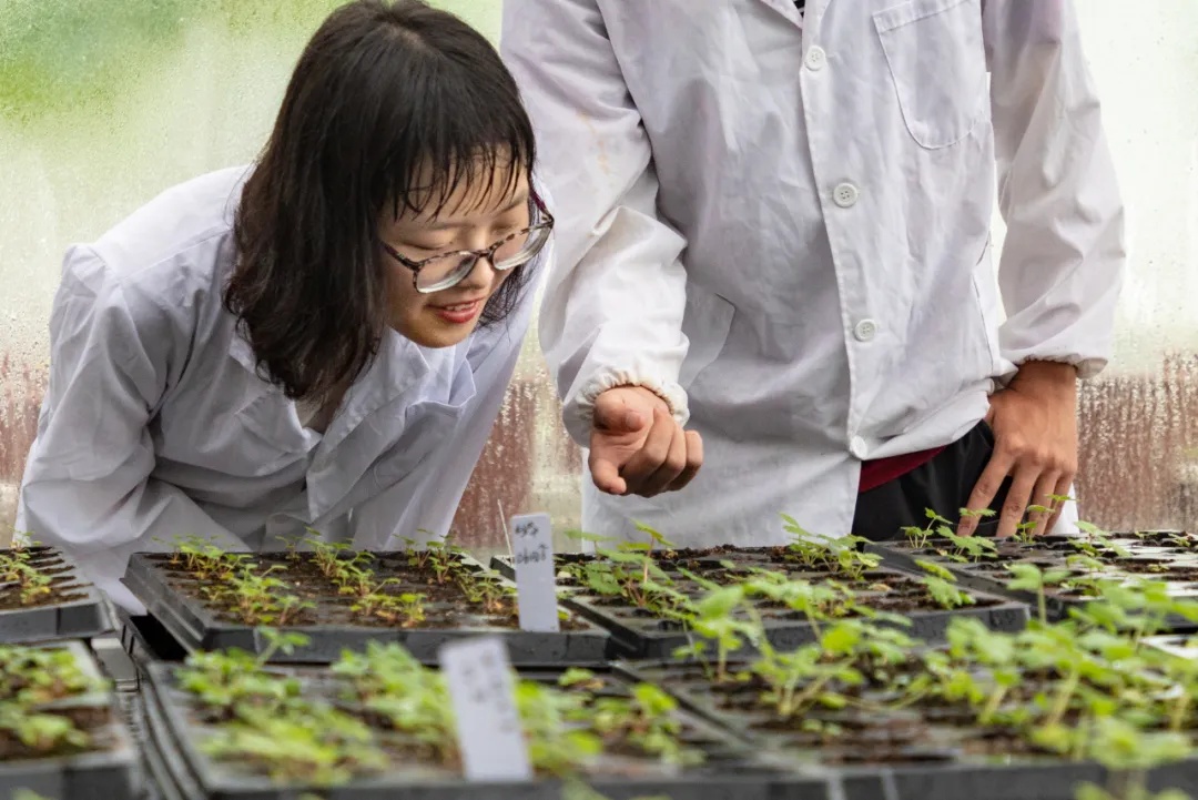 “一南一北”！南京两个“国家级”这么干