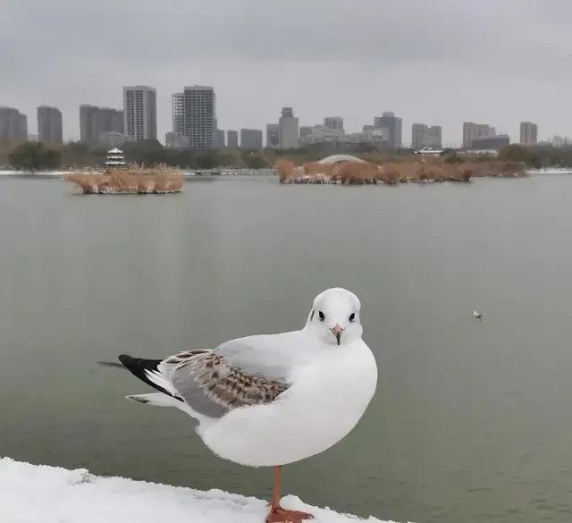 你所不了解的太原,你所不了解的婚纱摄影