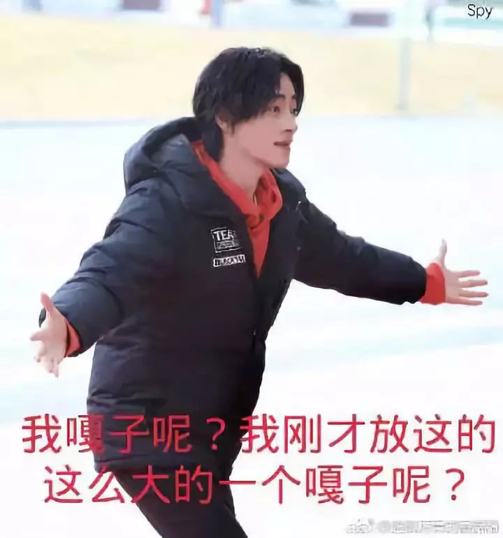 迷妹来救音乐剧？