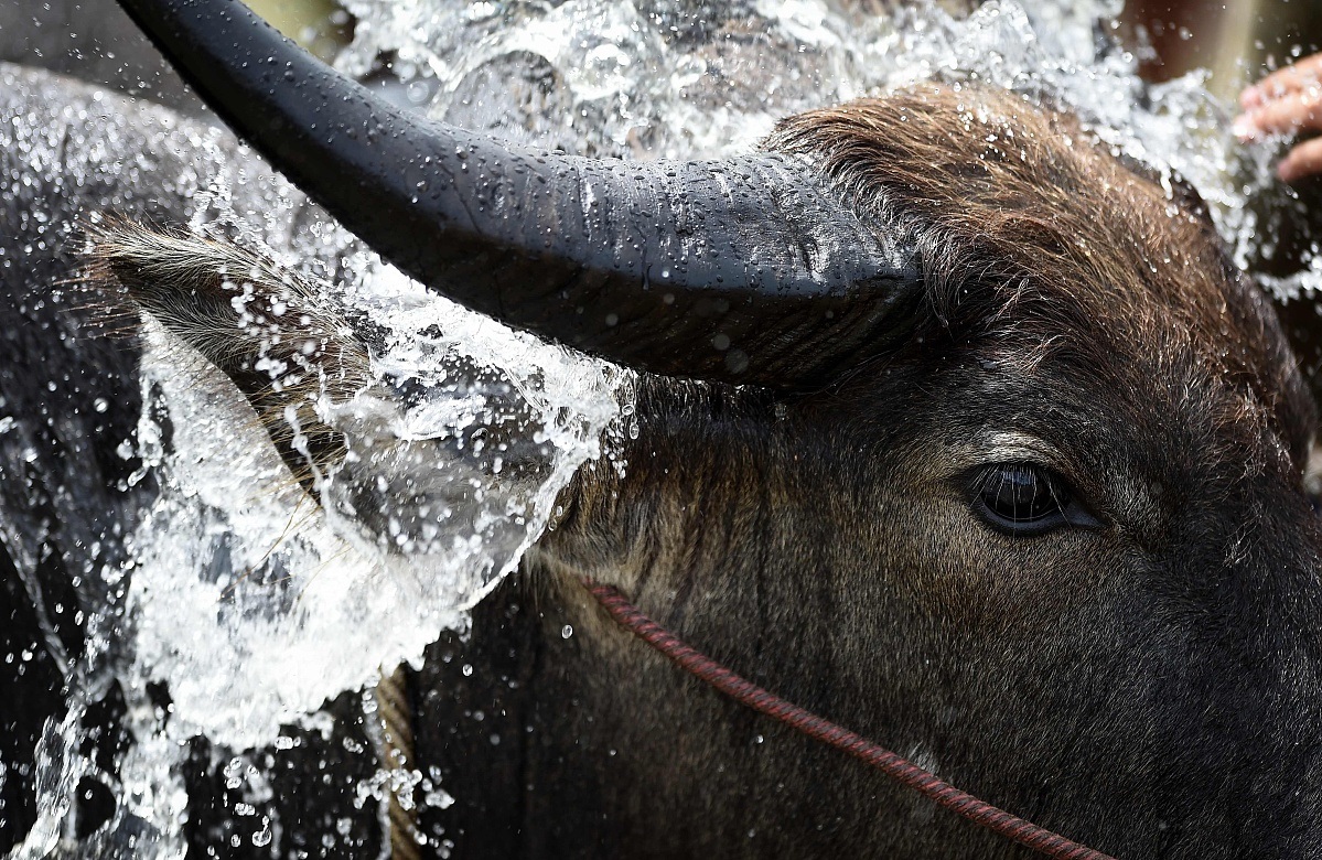 a股大盘指数3000到5000点需要多久,a股大盘破2900大关