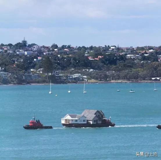 看了一次新西兰式硬核搬家，租房青年悟了