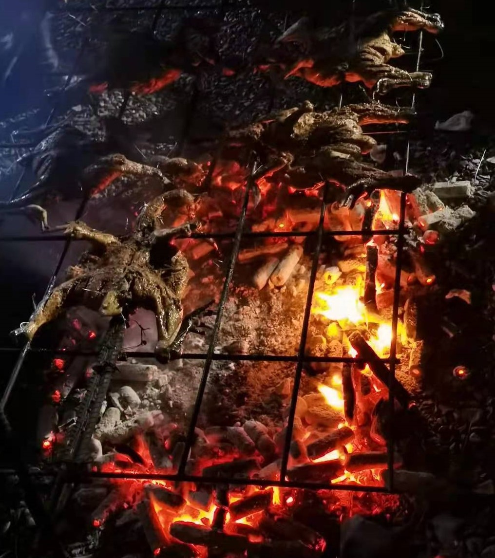 一段神奇的经历-达瓦更扎游记