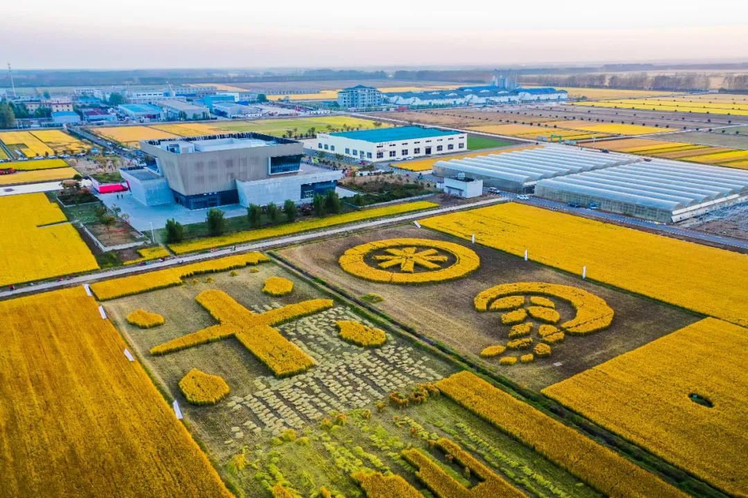 走向我们的小康生活9张海报,幸福新时代主题摄影作品