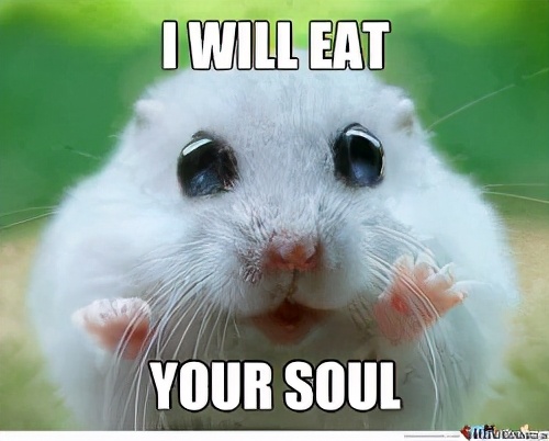 练吉他尤克里里软件,电子琴和钢琴尤克里里入门教程