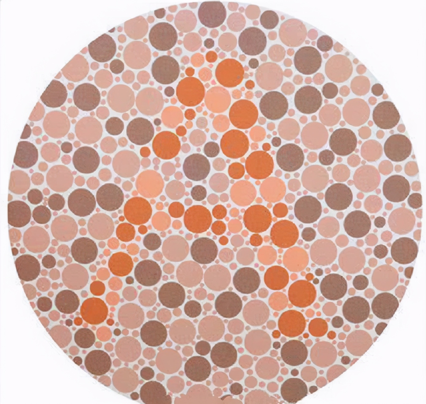 2021版色盲检测图，倘若有三张看不清，那么就别再浪费报考费