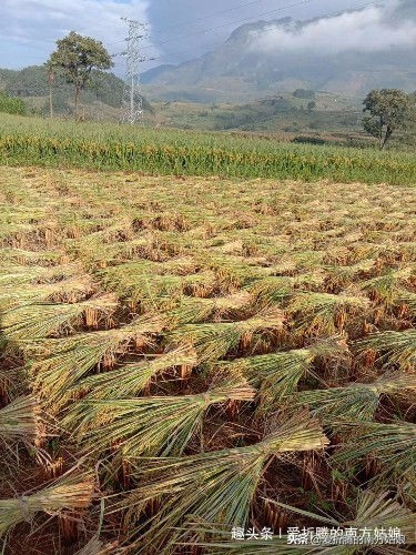 有一种自豪叫我是中国人歌曲,有一种骄傲和自豪叫做我是中国人