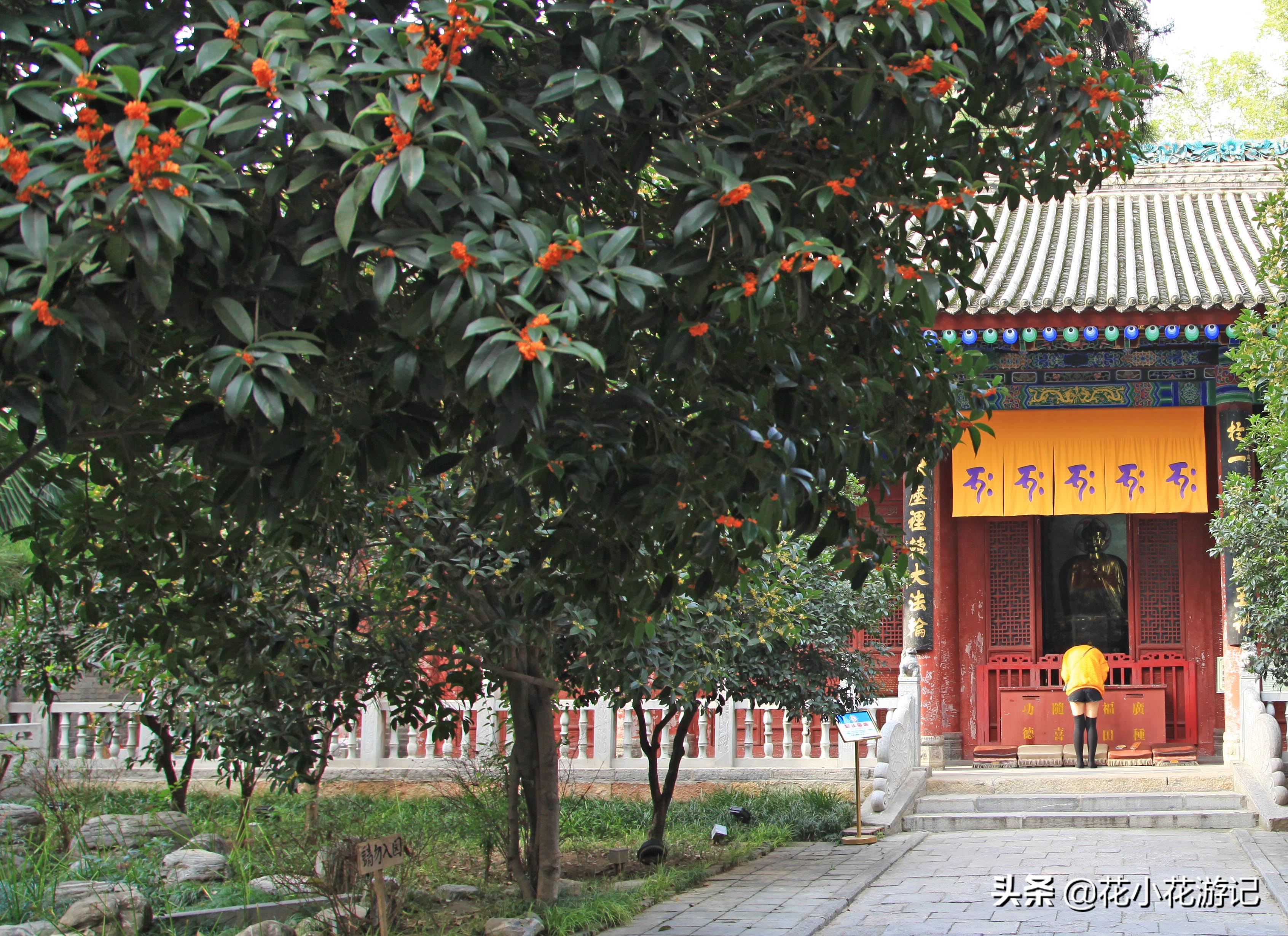 澶у叴鍠勫鐨堜緷娉曚細,澶у叴鍠勫澶ч泟瀹濇绁堢璇电粡