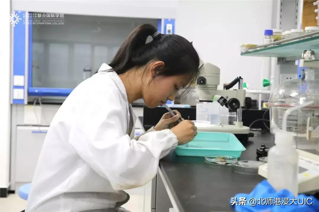 报告！暑假有UICer留校养鱼、看海