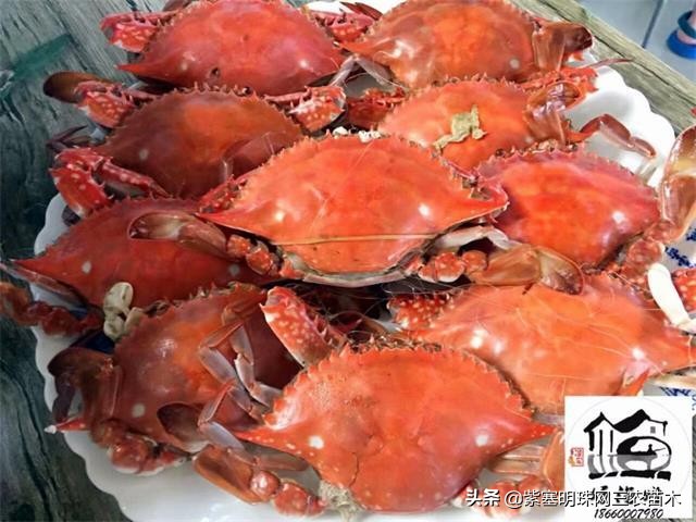 长岛值得去的渔家乐,长岛美丽的海岛