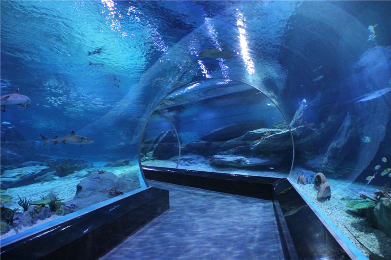 青岛最值得游玩五大景点,青岛最值得去的3个景点