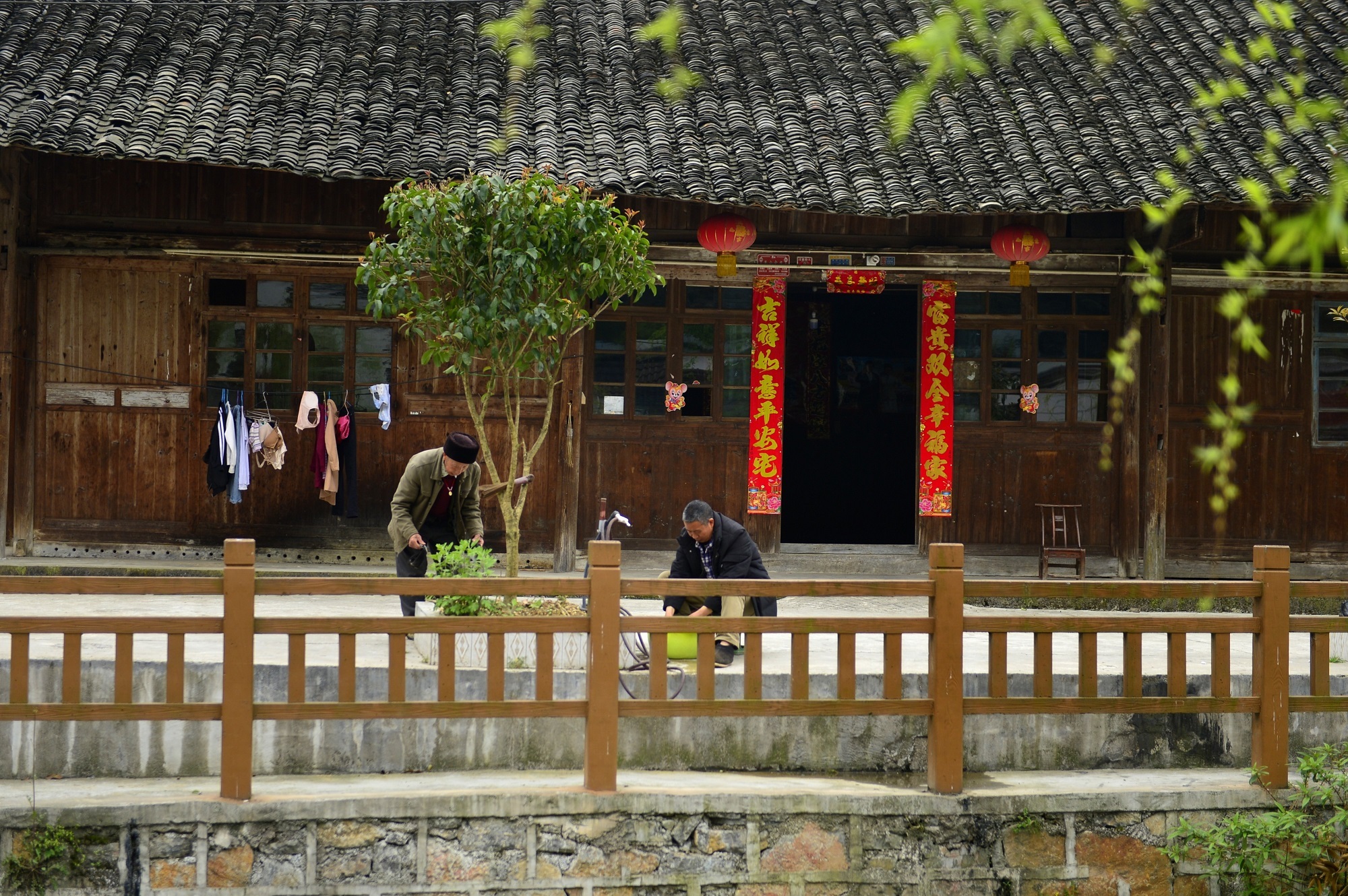 庆阳活化石叫啥,庆阳坝历史