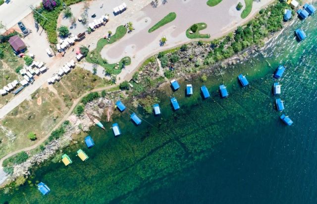 什么是云南品种,什么是云南的特色