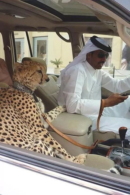 为什么迪拜人有钱,迪拜警方有多有钱