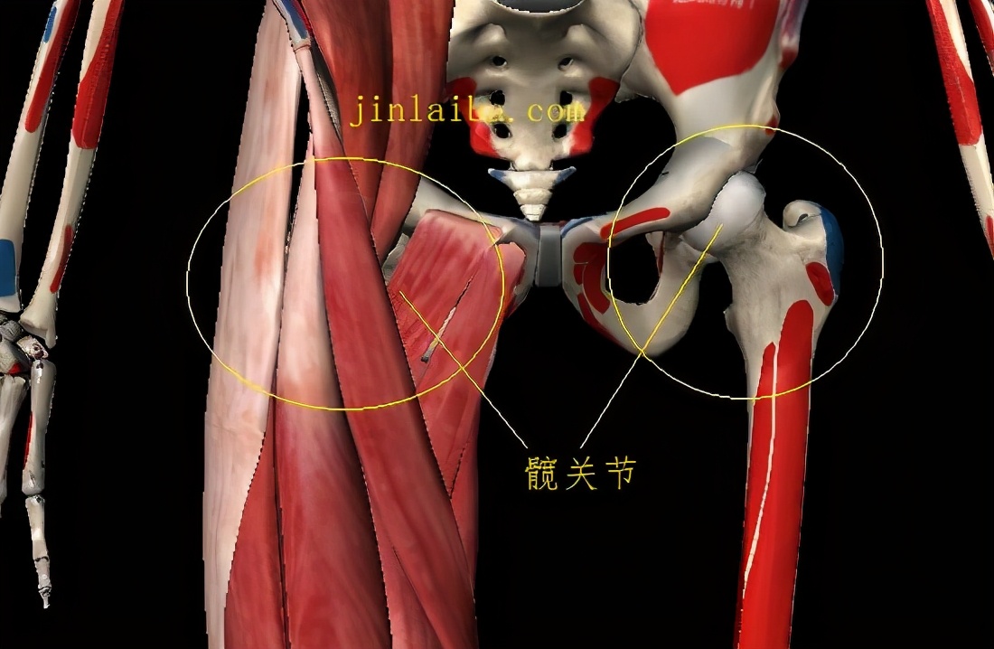 腹股沟疼痛怎么治疗,腹股沟疼痛针灸