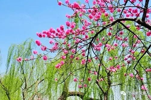 国画里的清明,清明时节传统习俗的画