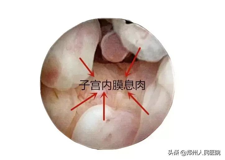 这个小镜子,照看着世上最贵的“房子”