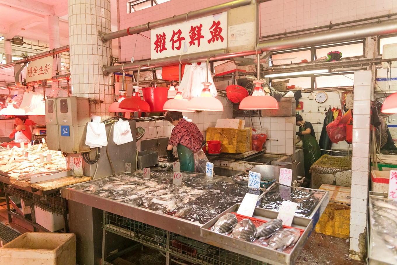 鍐呭湴娓稿婢抽棬璐墿 (澶ч檰娓稿婢抽棬璐墿)