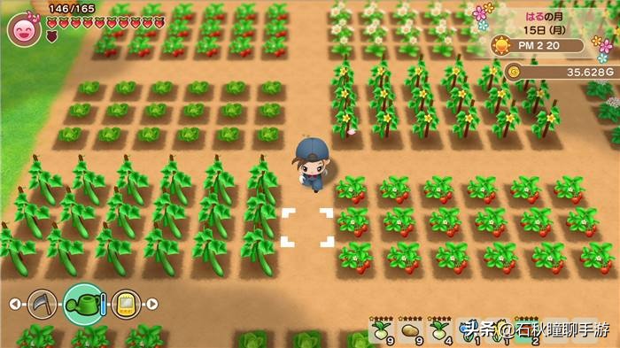 牧场物语最全攻略,牧场物语攻略经典