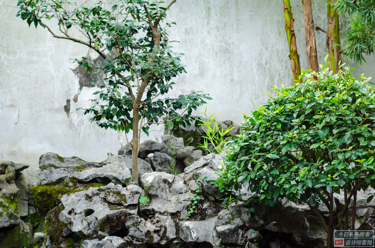 一楼带阳台小花园怎么设计,买一楼带小花园