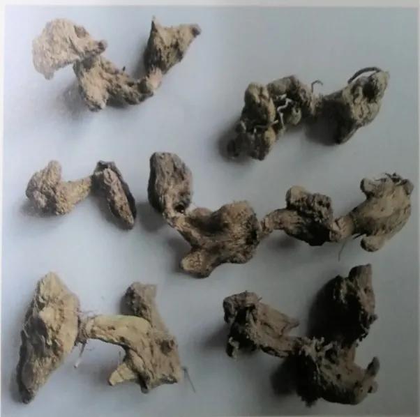 收敛止血的中成药有哪些,止血收敛的药有哪些