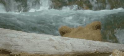 豆瓣9.8分悬疑大片,窥探电视剧豆瓣评分