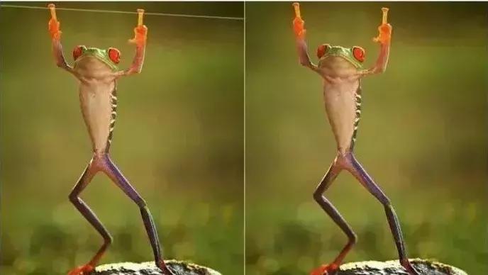 被囚34年取精，被迫亲手杀死爱子，最后只能挣扎着死去……