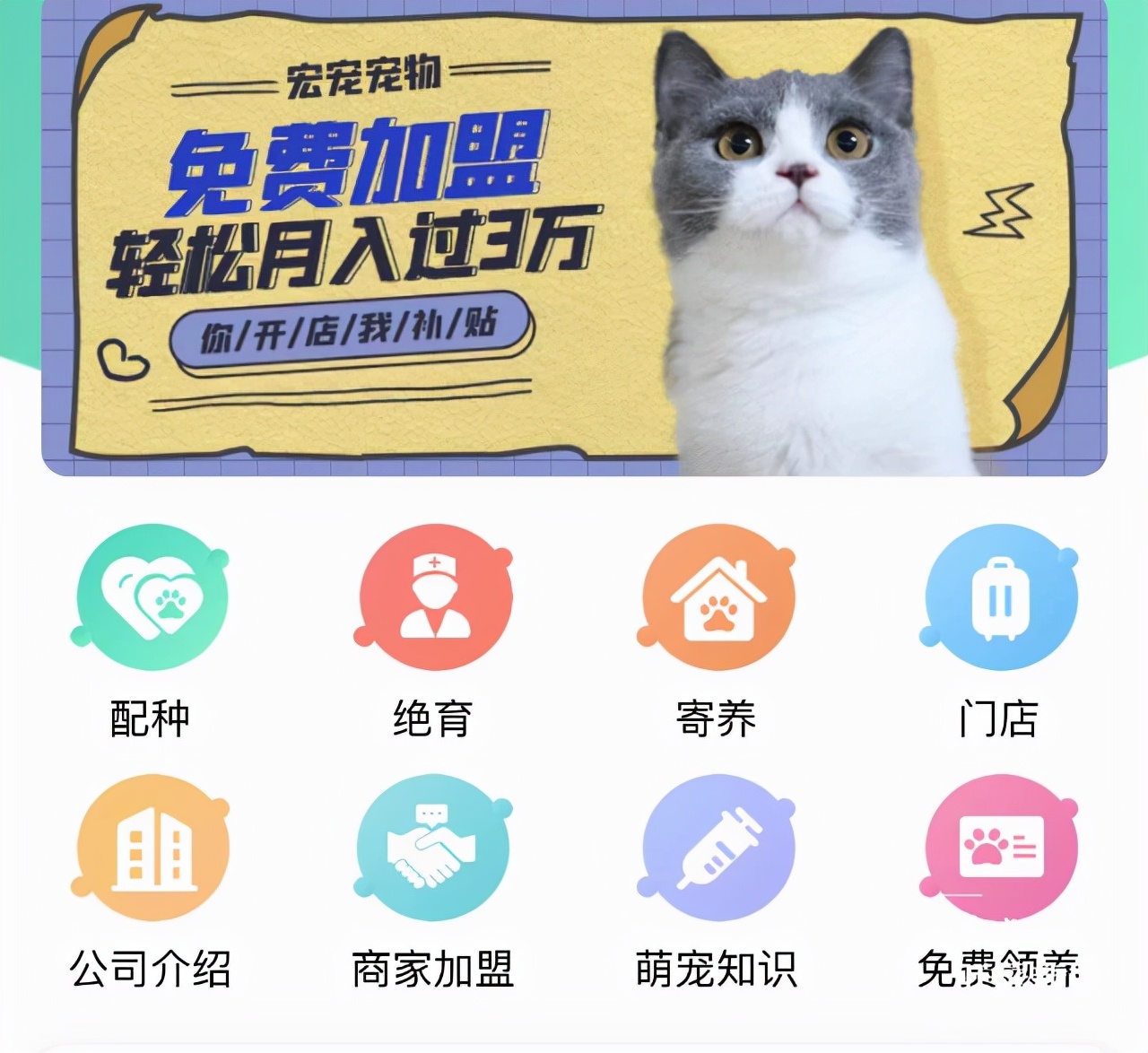 流浪猫被领养最后得病,小猫被领养了