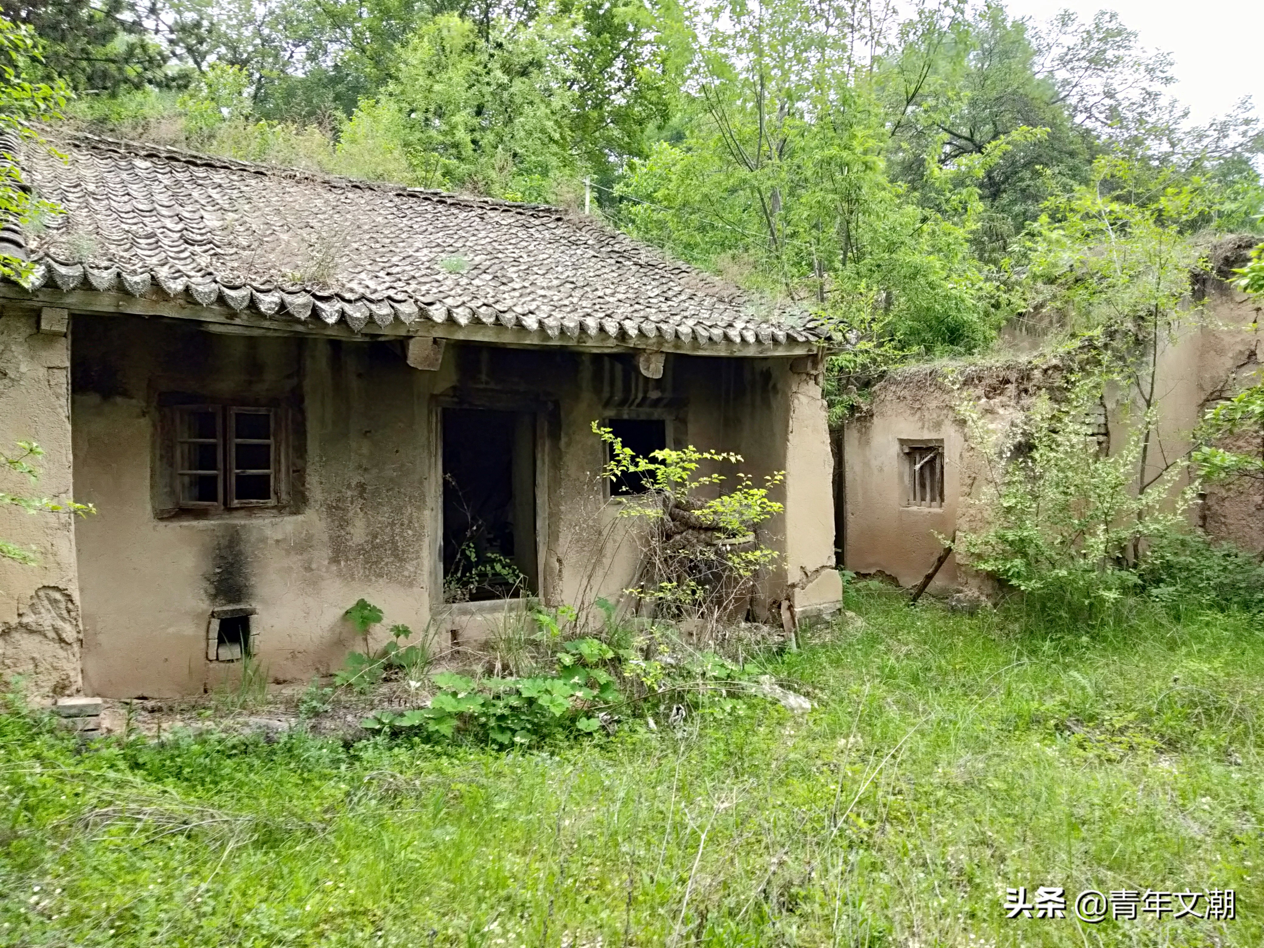 姥姥的旧房子,姥姥的院子图片