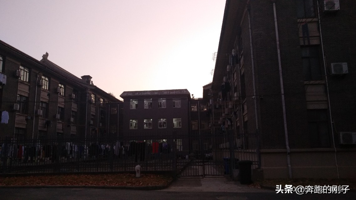 南京农业大学秋天美景,逛一下环境优美的南京农业大学