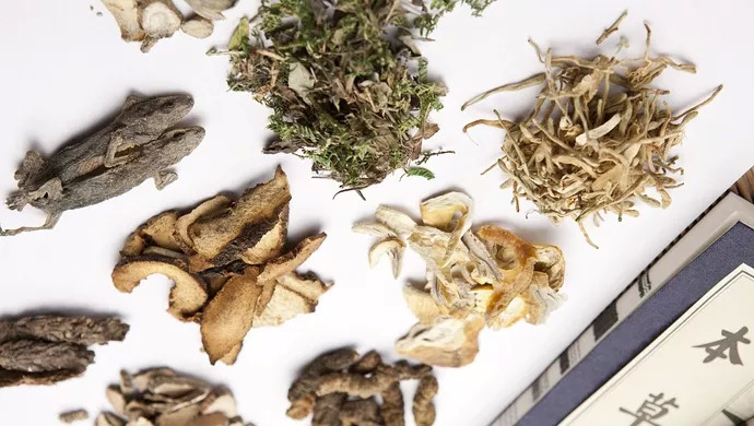 寡人有疾，《本草》有药