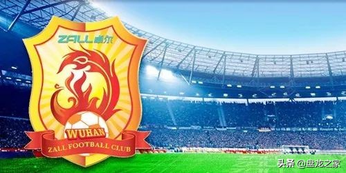 2019年是盘龙城大放异彩的一年会展中心,体育中心,地铁7号线