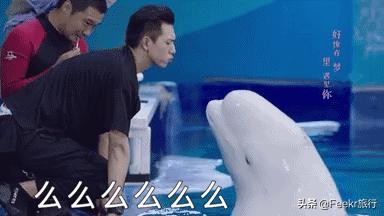 告别“桑拿天”，国内超清凉的玩水地图，看了就想跳进去